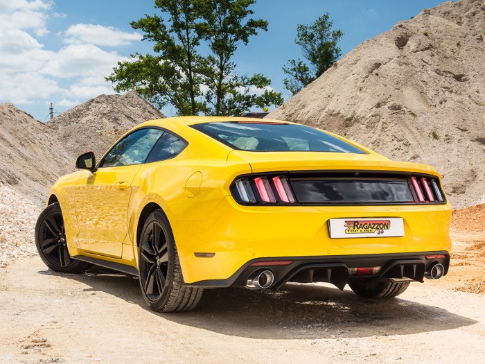 Coup&egrave; 2.3i Ecoboost (233 / 213kW) 2015>>2020